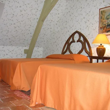 Chateau De Vauloge Fercé-sur-Sarthe