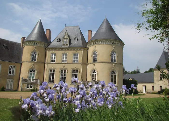 Chateau De Vauloge Bed & Breakfast Ferce-sur-Sarthe