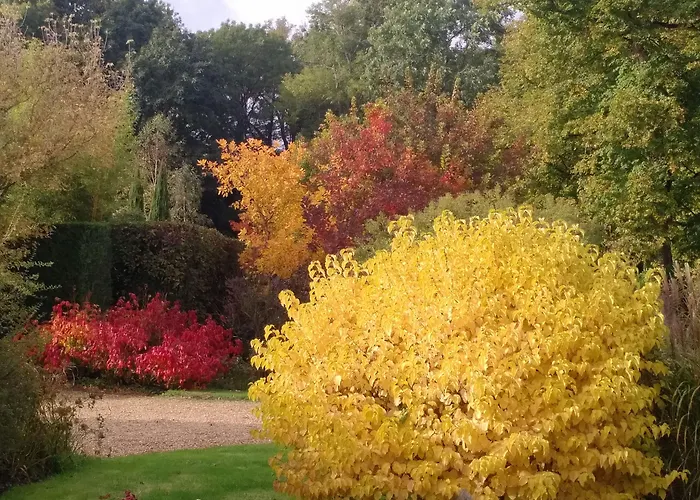 Chateau De Vauloge Ferce-sur-Sarthe