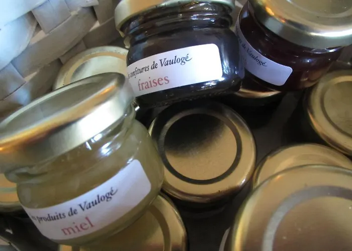 Chateau De Vauloge Ferce-sur-Sarthe