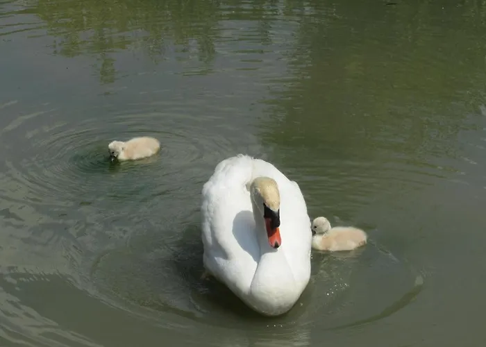 Bed & Breakfast Chateau De Vauloge