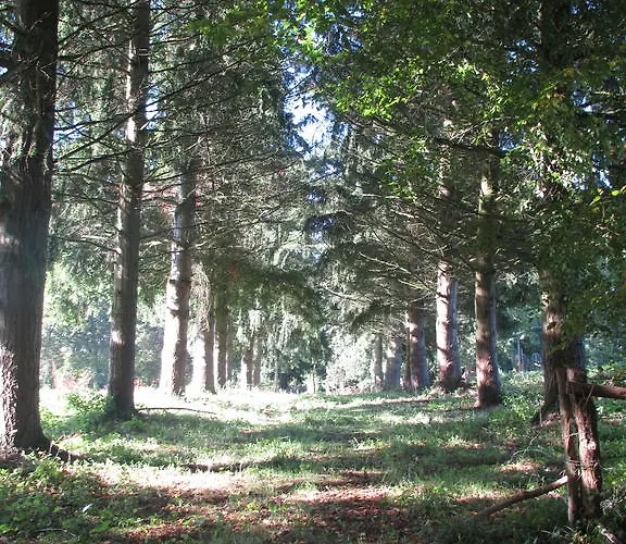 Bed & Breakfast Chateau De Vauloge